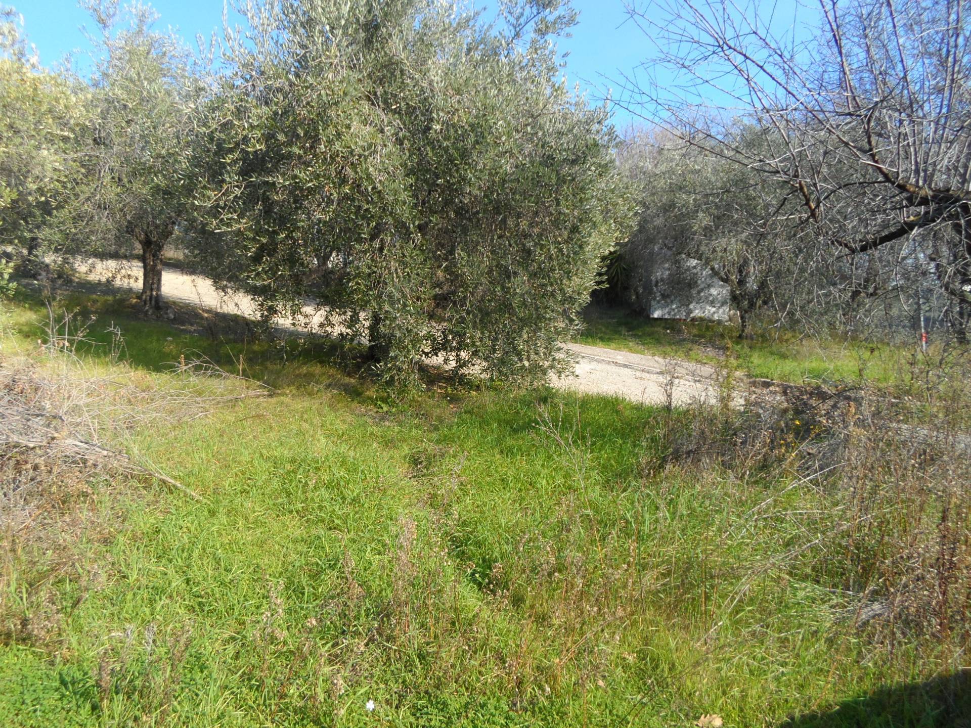 Casa singola in vendita a Monteprandone, Centobuchi