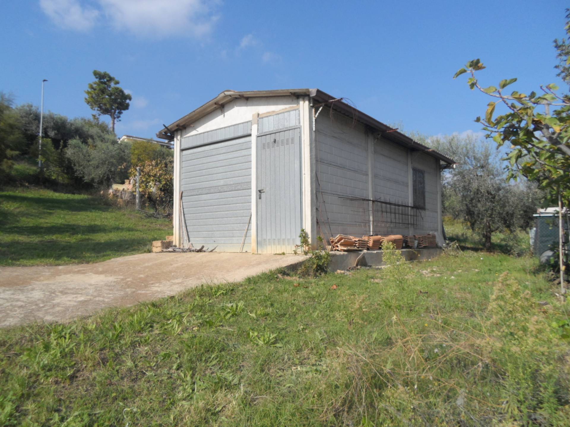 immagine annuncio 9 di 10