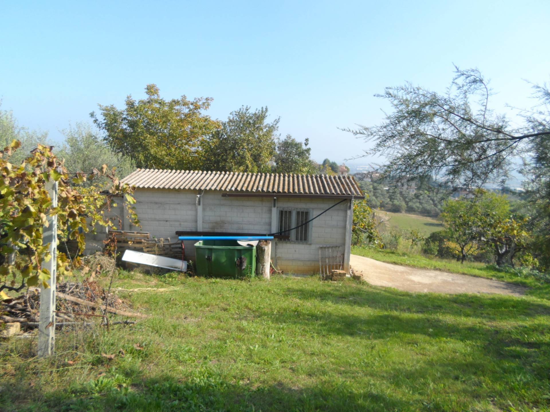 immagine annuncio 6 di 10