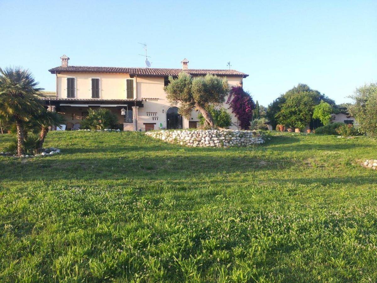Villa in affitto a Monteprandone