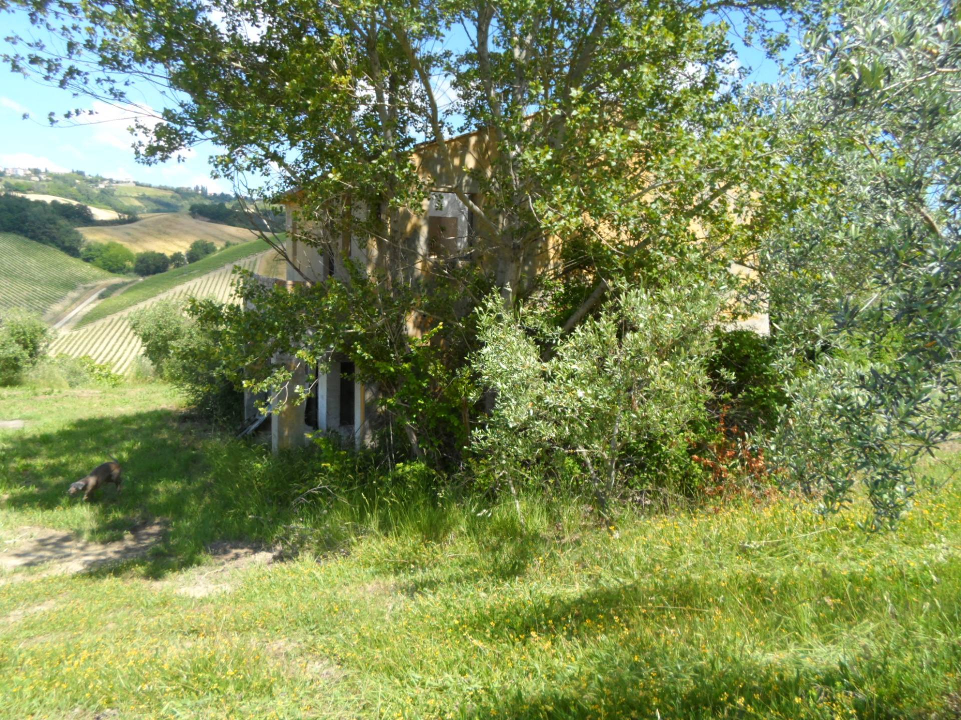 Casolare in vendita a Carassai