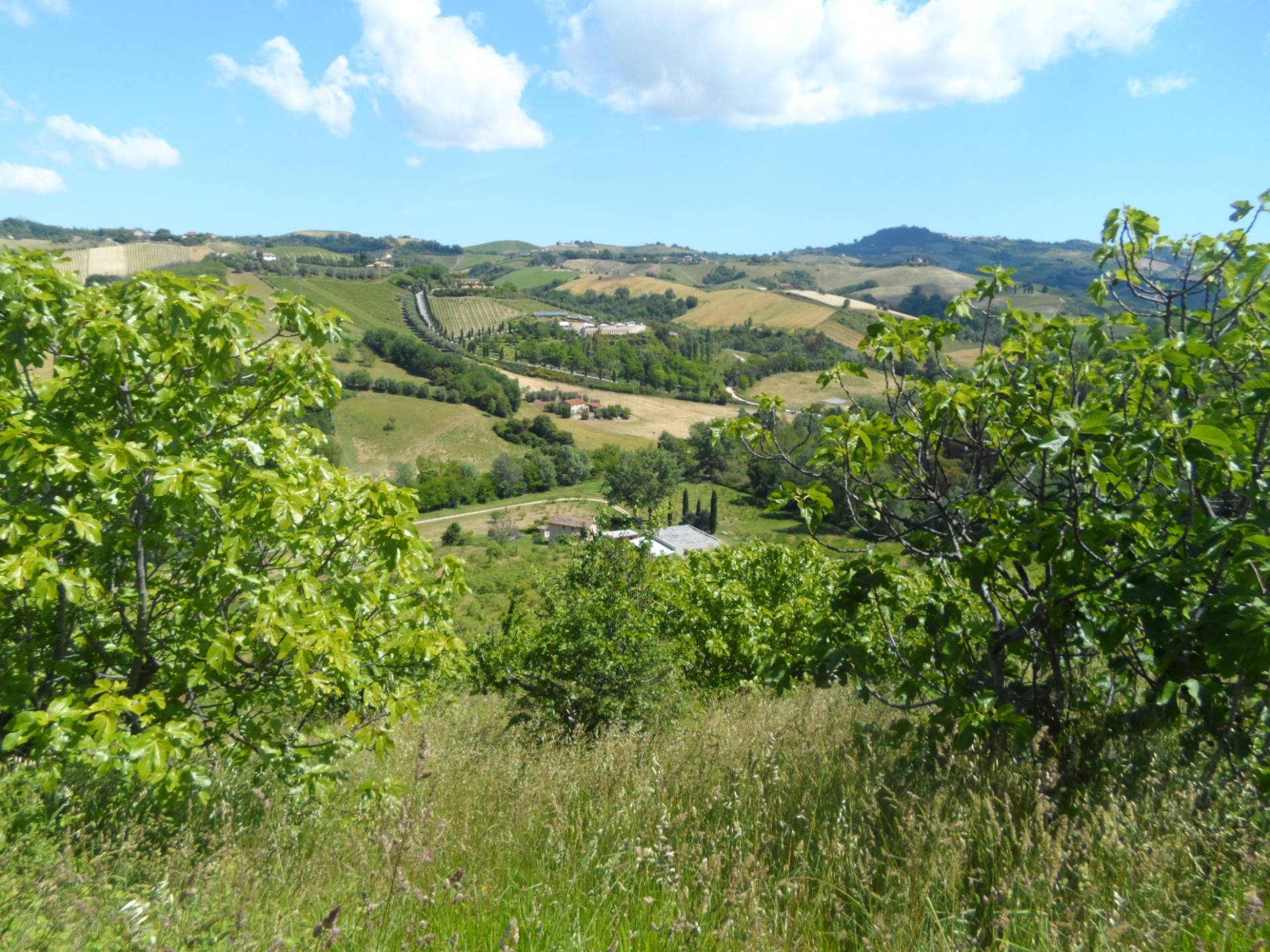 Casolare in vendita a Carassai