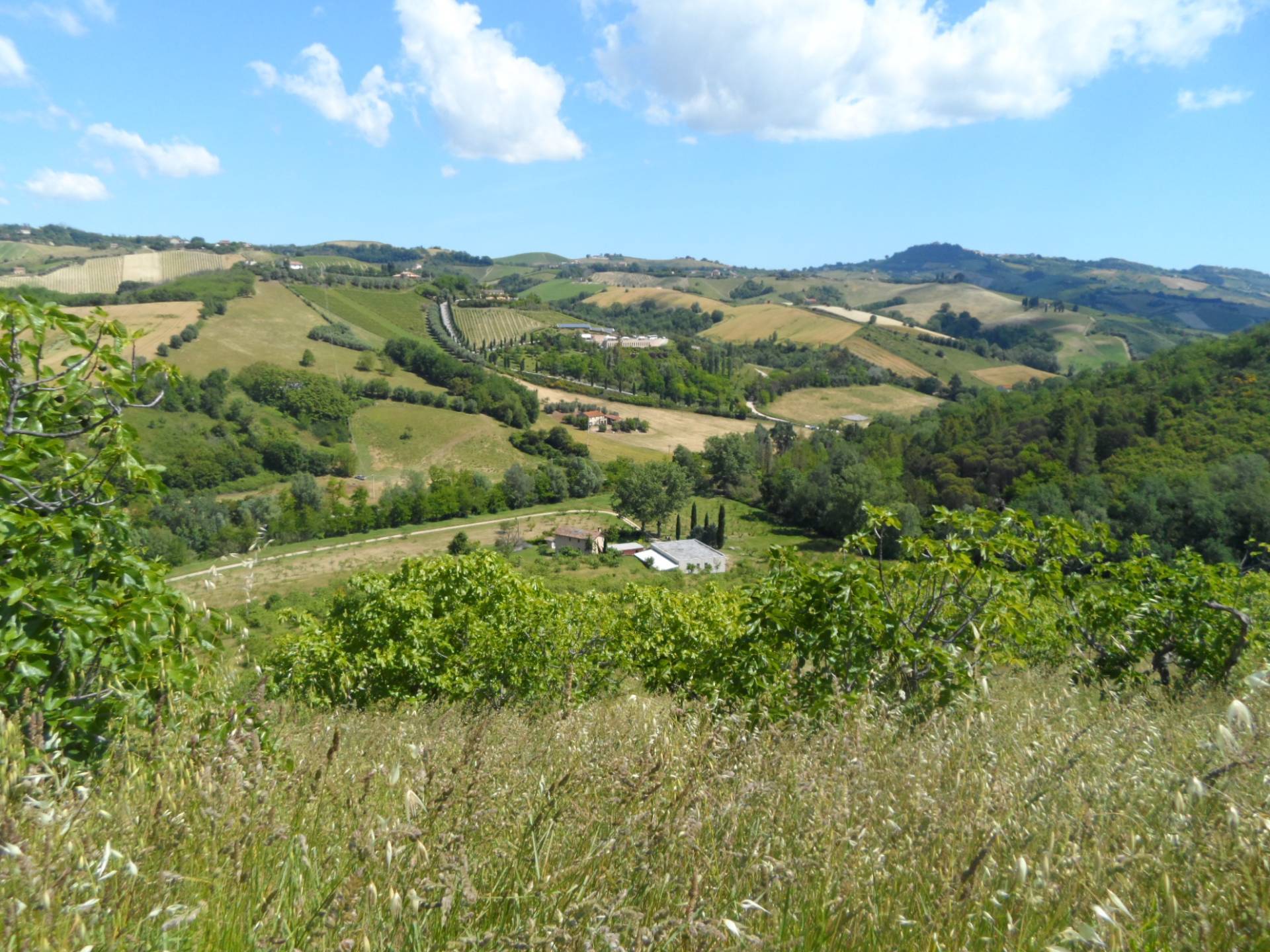 Casolare in vendita a Carassai