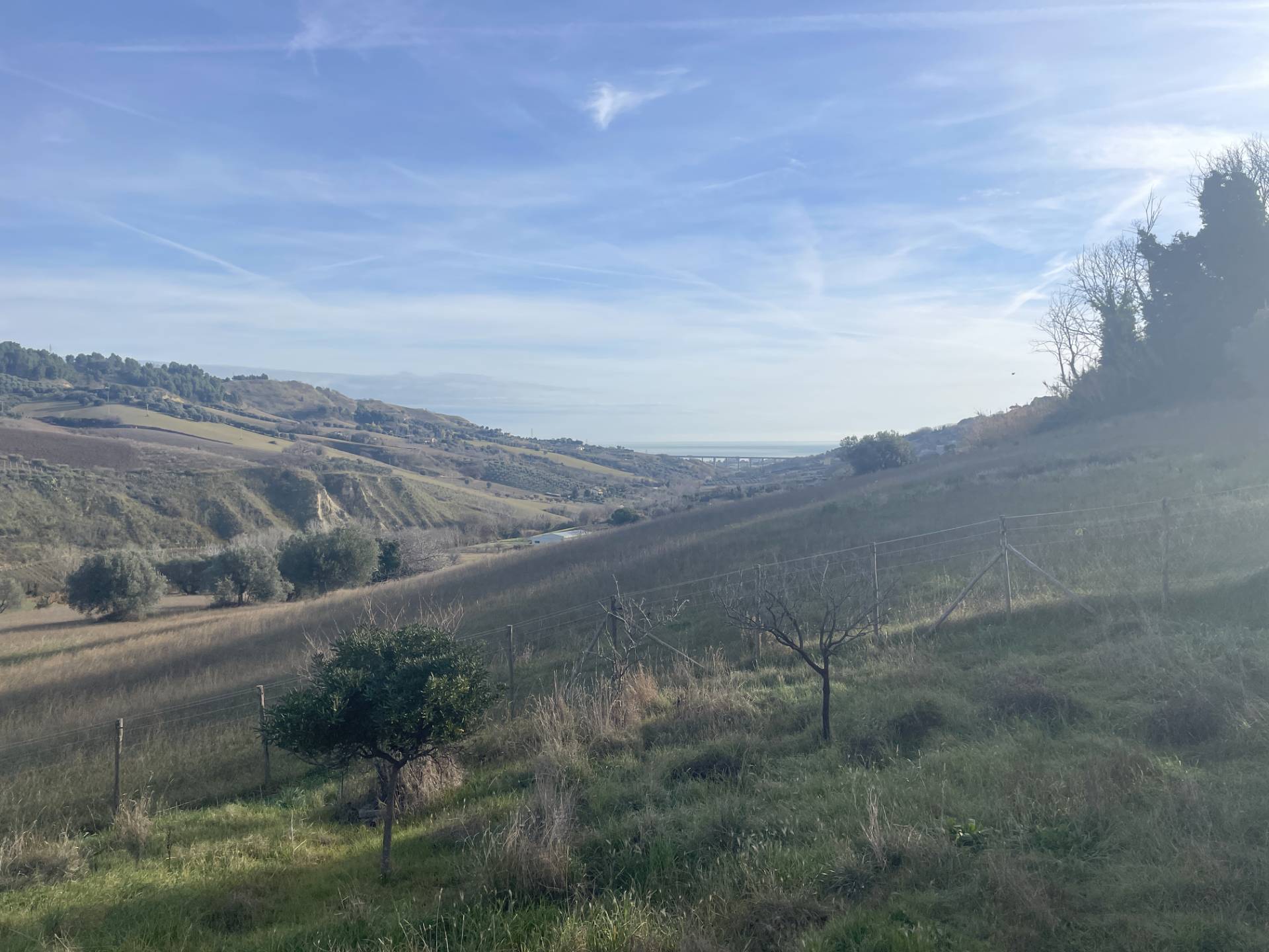 Casa singola in vendita a Monteprandone