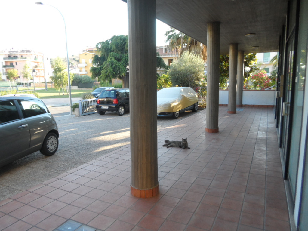 Locale commerciale in affitto a San Benedetto del Tronto, Porto d'Ascoli