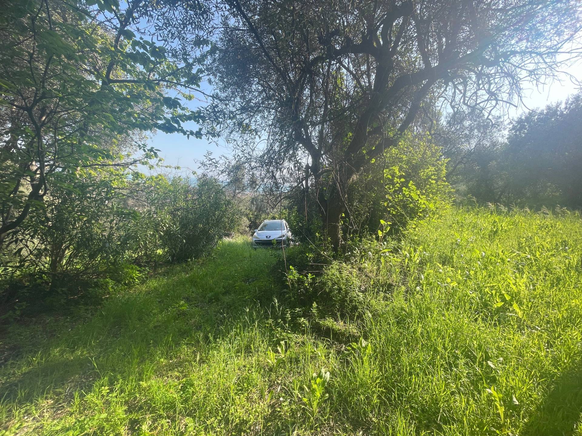 Casolare in vendita a San Benedetto del Tronto, Collinare