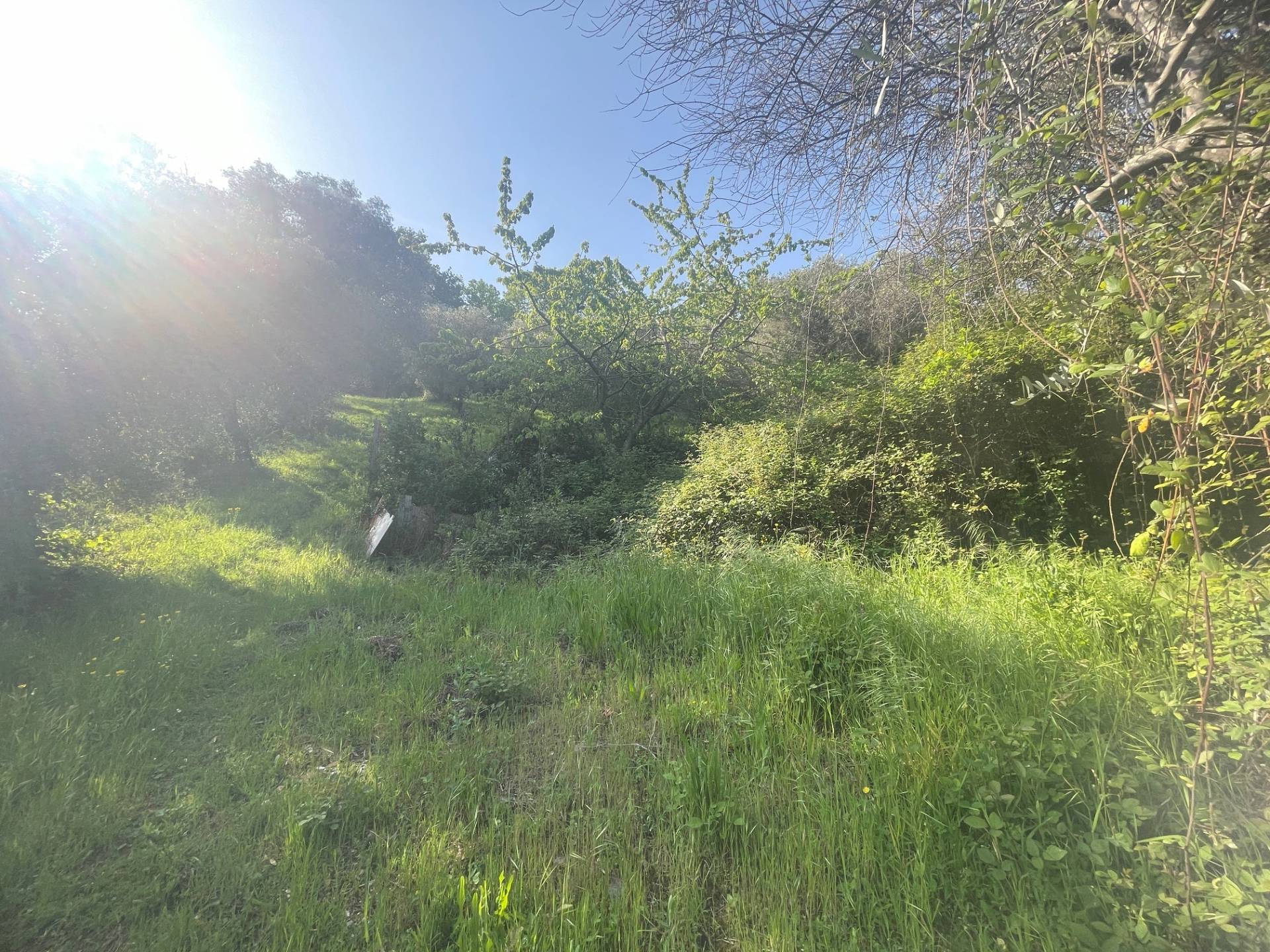Casolare in vendita a San Benedetto del Tronto, Collinare