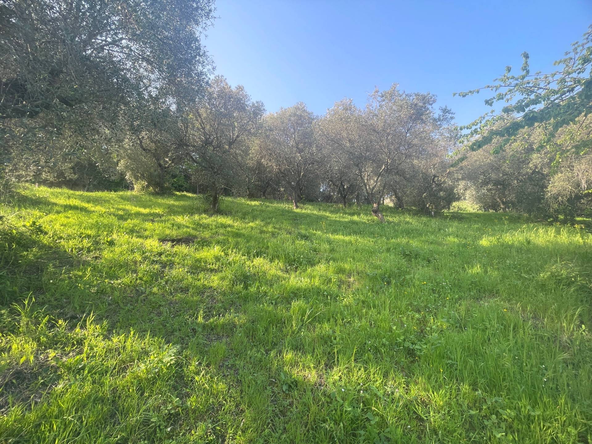 Casolare in vendita a San Benedetto del Tronto, Collinare