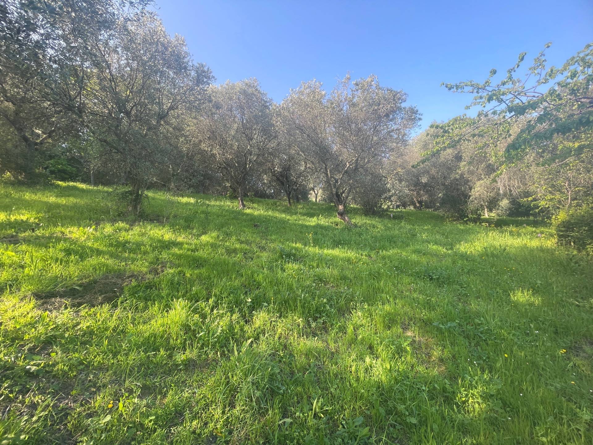 Casolare in vendita a San Benedetto del Tronto, Collinare