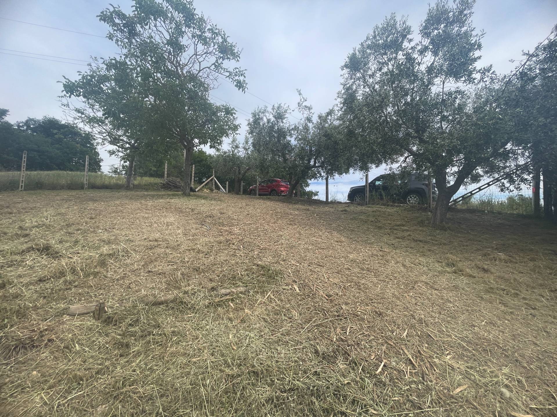 Terreno Agricolo in vendita a Monteprandone, Centobuchi