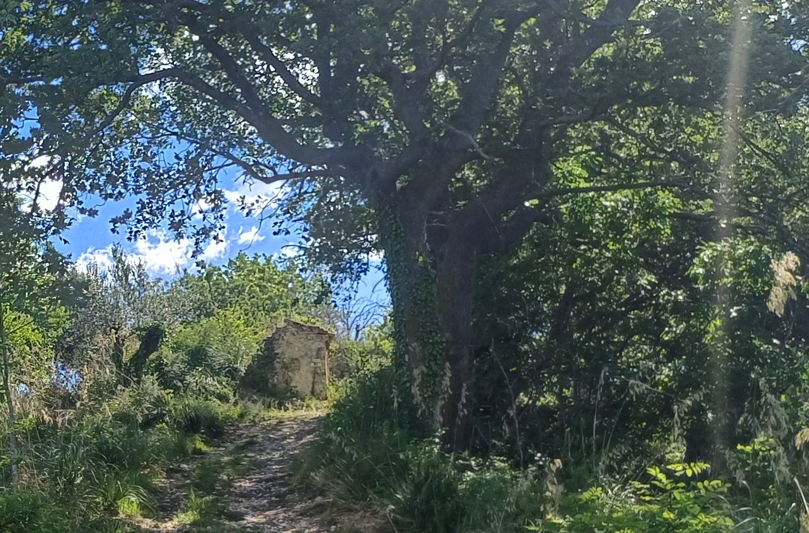 Casolare in vendita a Massignano