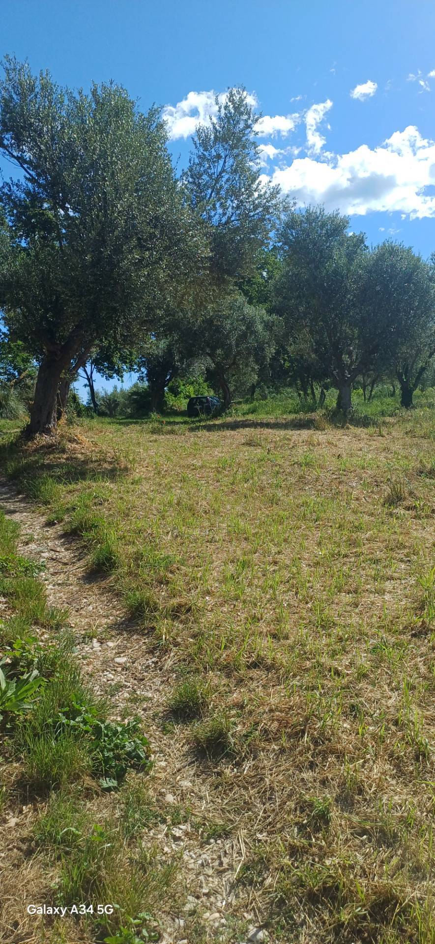 Casolare in vendita a Massignano