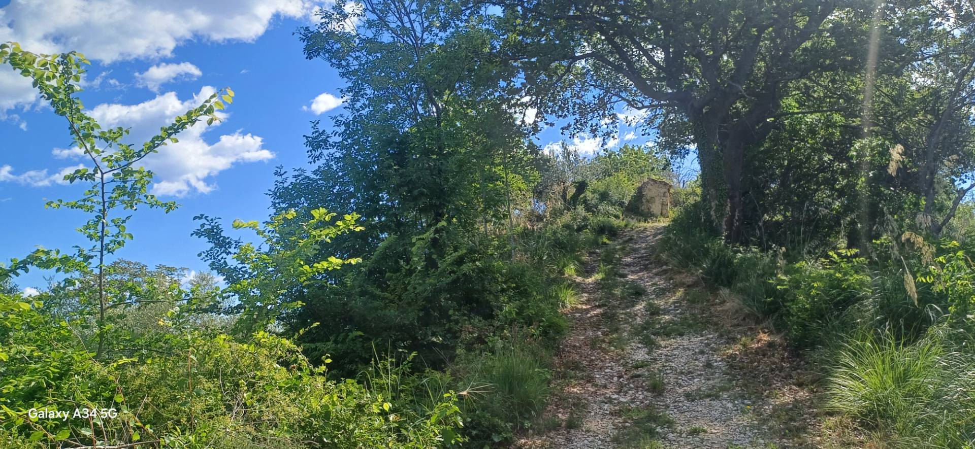 Casolare in vendita a Massignano