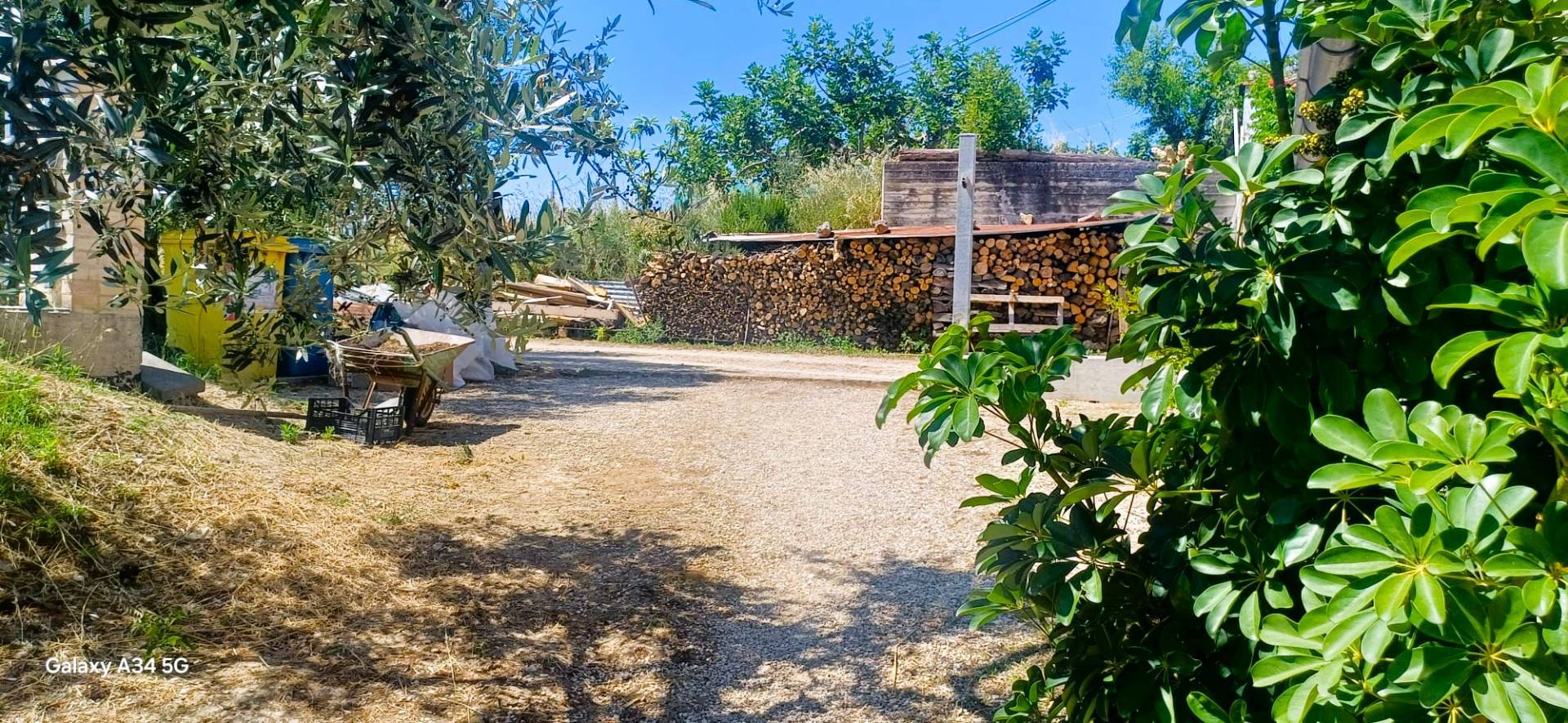 Attivit commerciale in vendita a Cupra Marittima