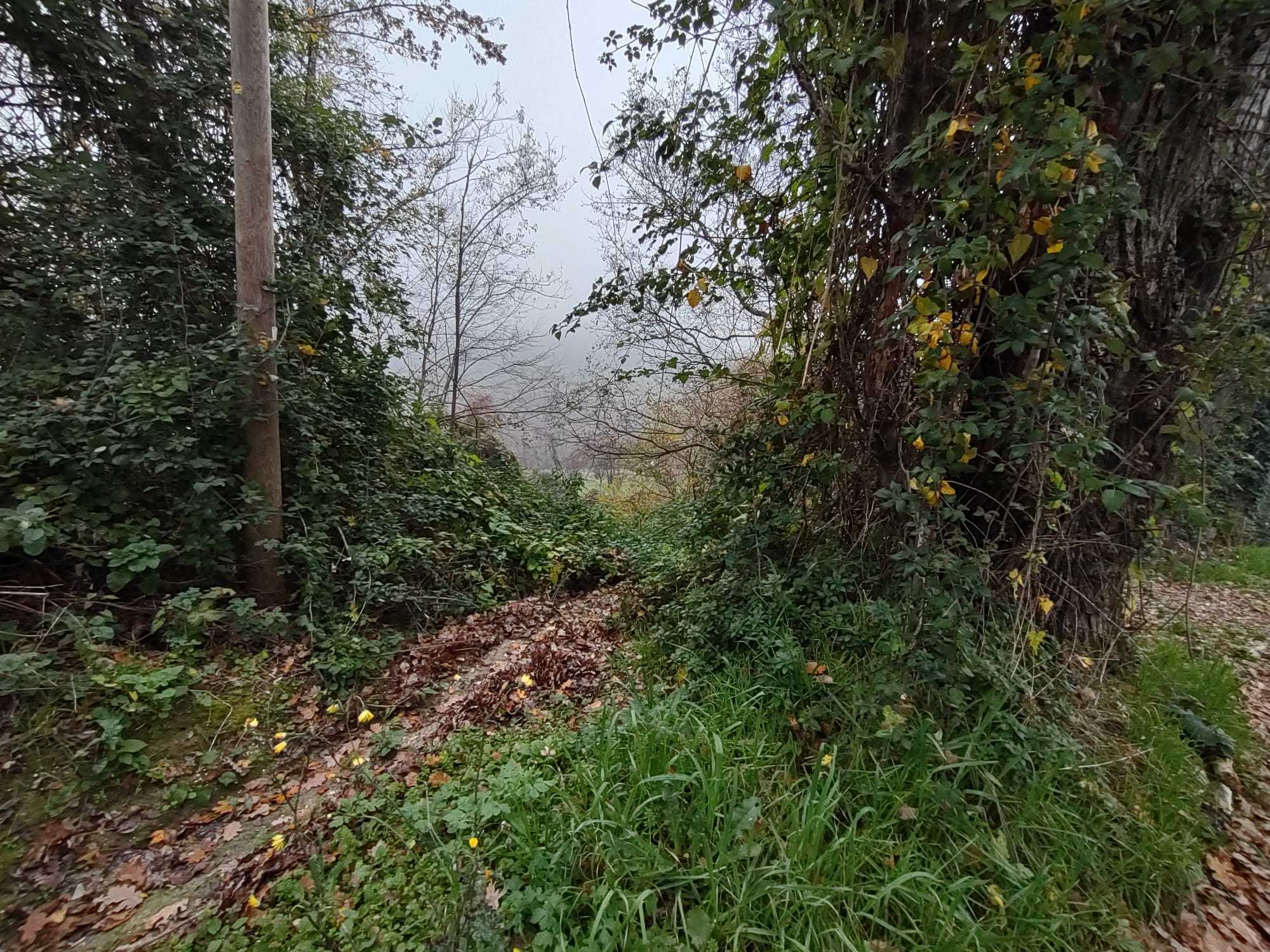 Casa indipendente con giardino in via montecarottese 85, Poggio San Marcello