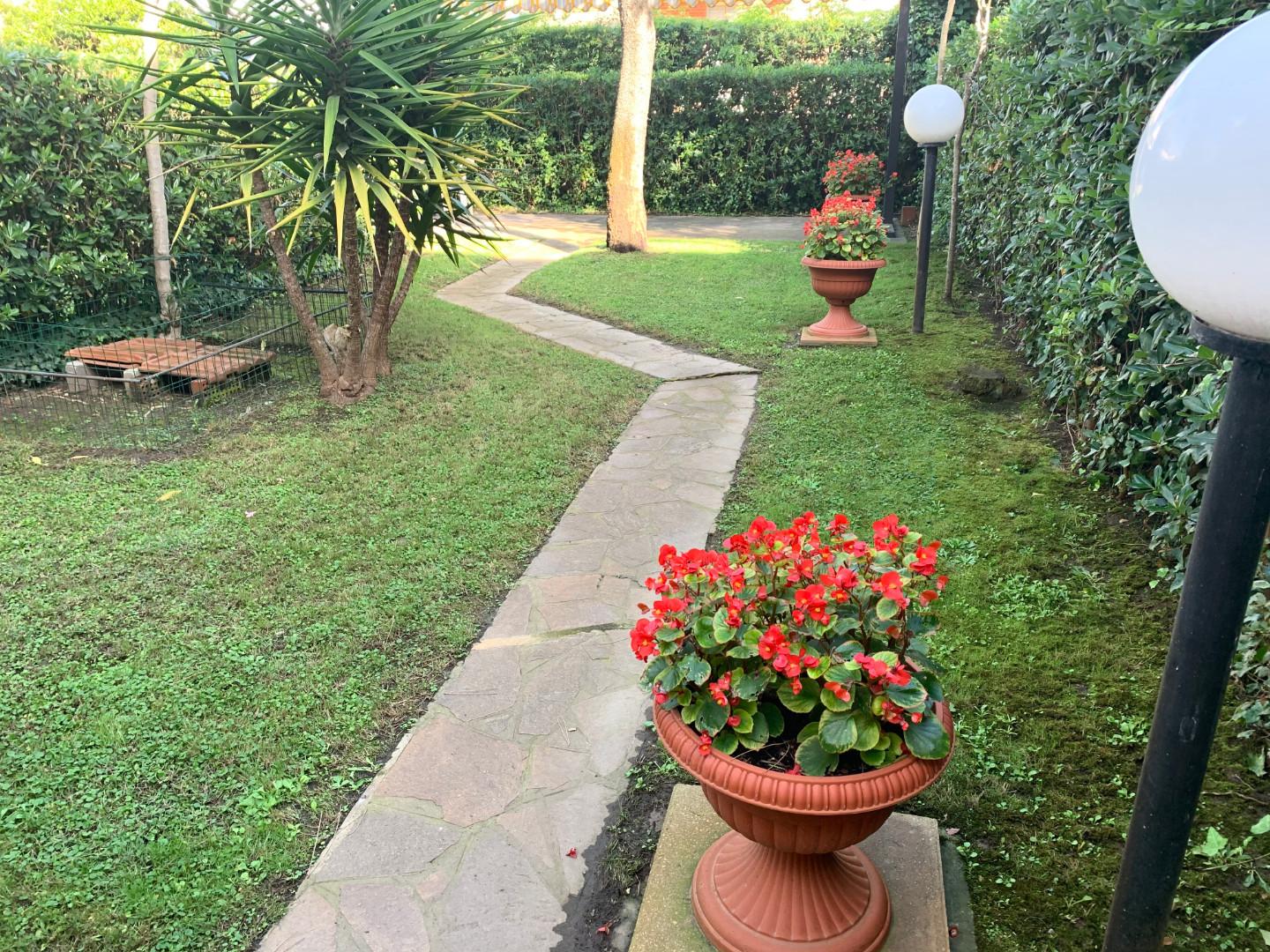 Casa indipendente arredata in affitto, Pisa tirrenia