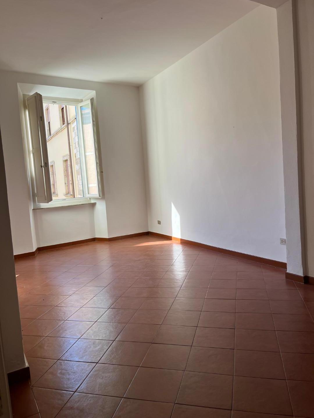 Stanza Singola in affitto, Pisa borgo largo