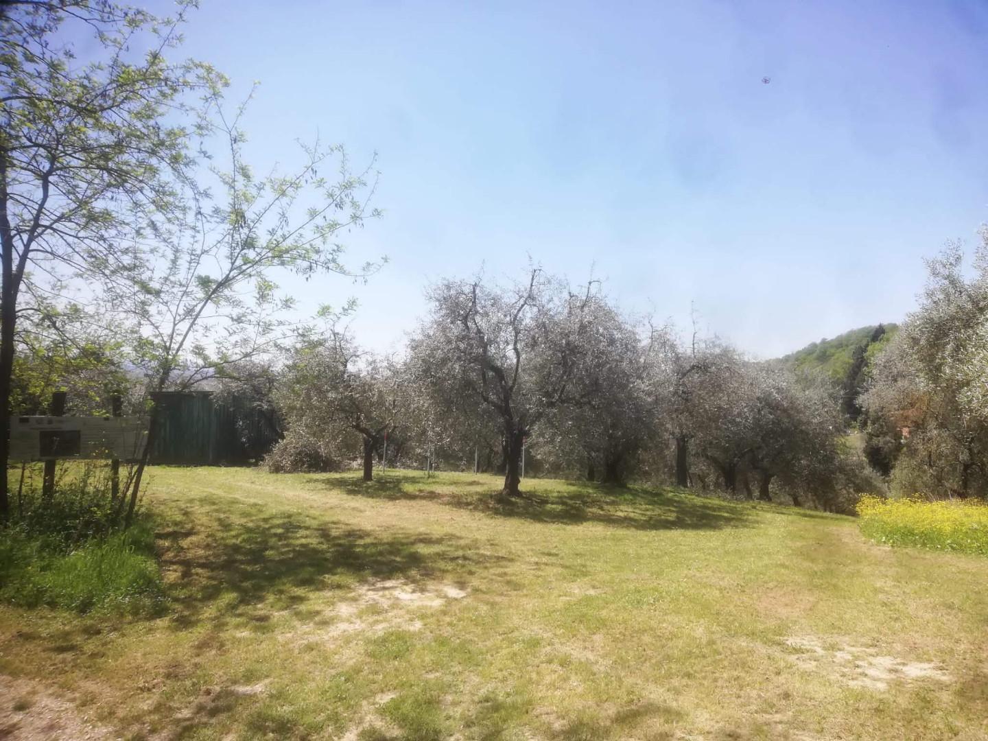 Terreno Agricolo in vendita a Castelfranco di Sotto