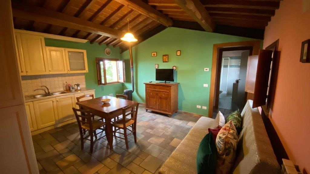 Bilocale arredato in affitto, Capraia e Limite castra