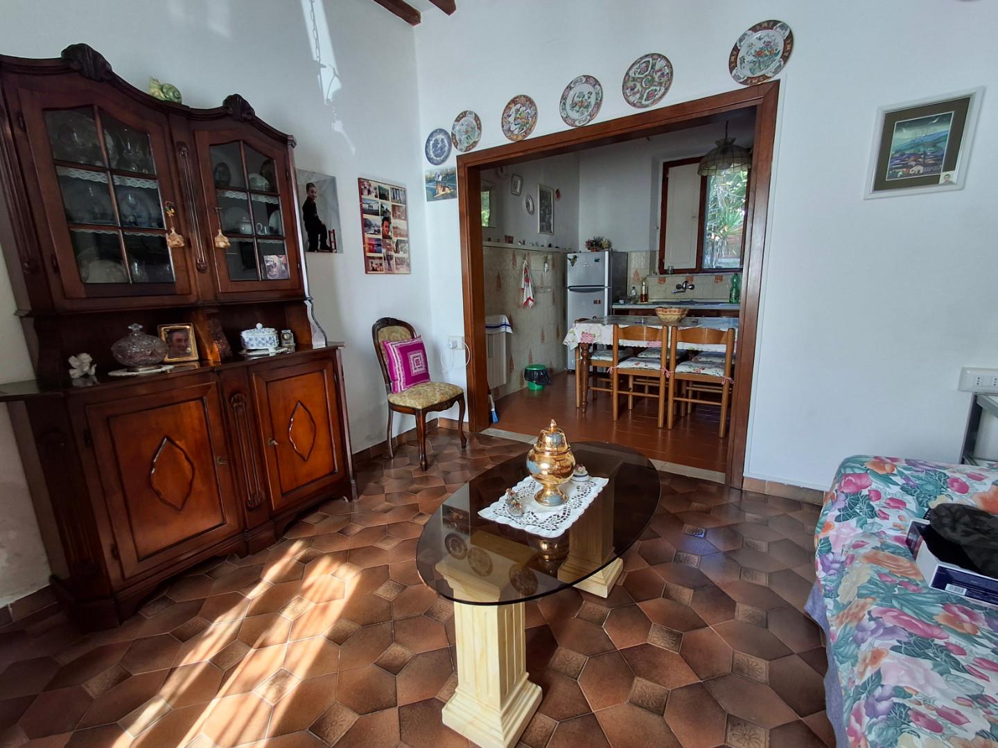 Casa indipendente con giardino a Capraia e Limite