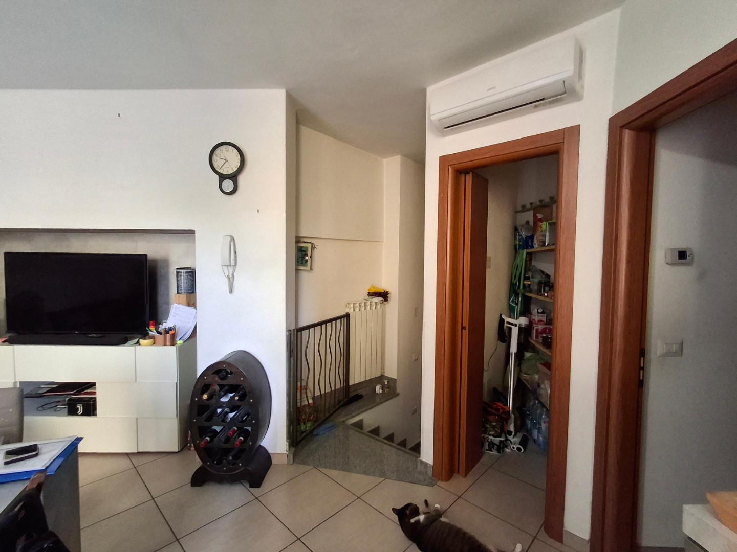 Trilocale in affitto a Capraia e Limite