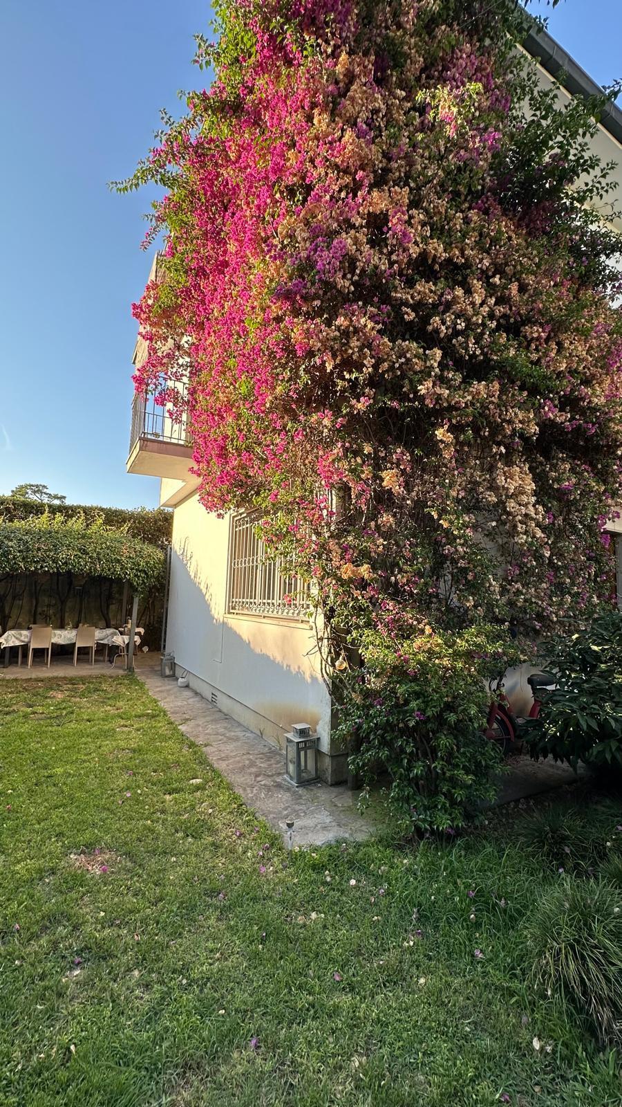 Villa Bifamiliare con giardino, Viareggio don bosco