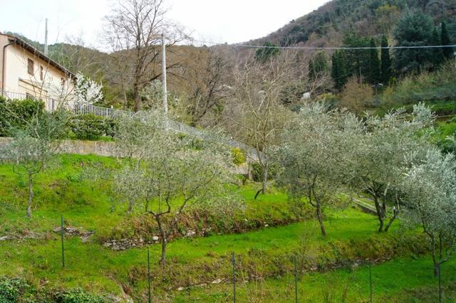 Rustico con giardino, San Giuliano Terme molina di quosa