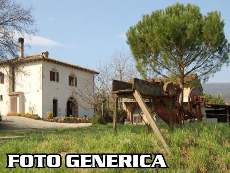 Terreno Agricolo in vendita, Massarosa massaciuccoli