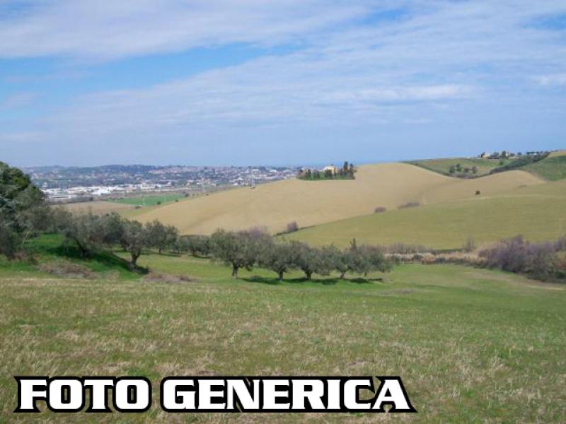 Terreno Agricolo in vendita, Pisa tirrenia