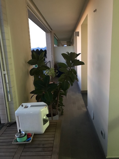 Quadrilocale con terrazzi, Pisa porta a mare