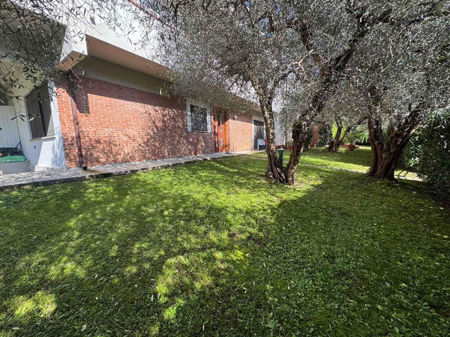 Trilocale con giardino a Calci