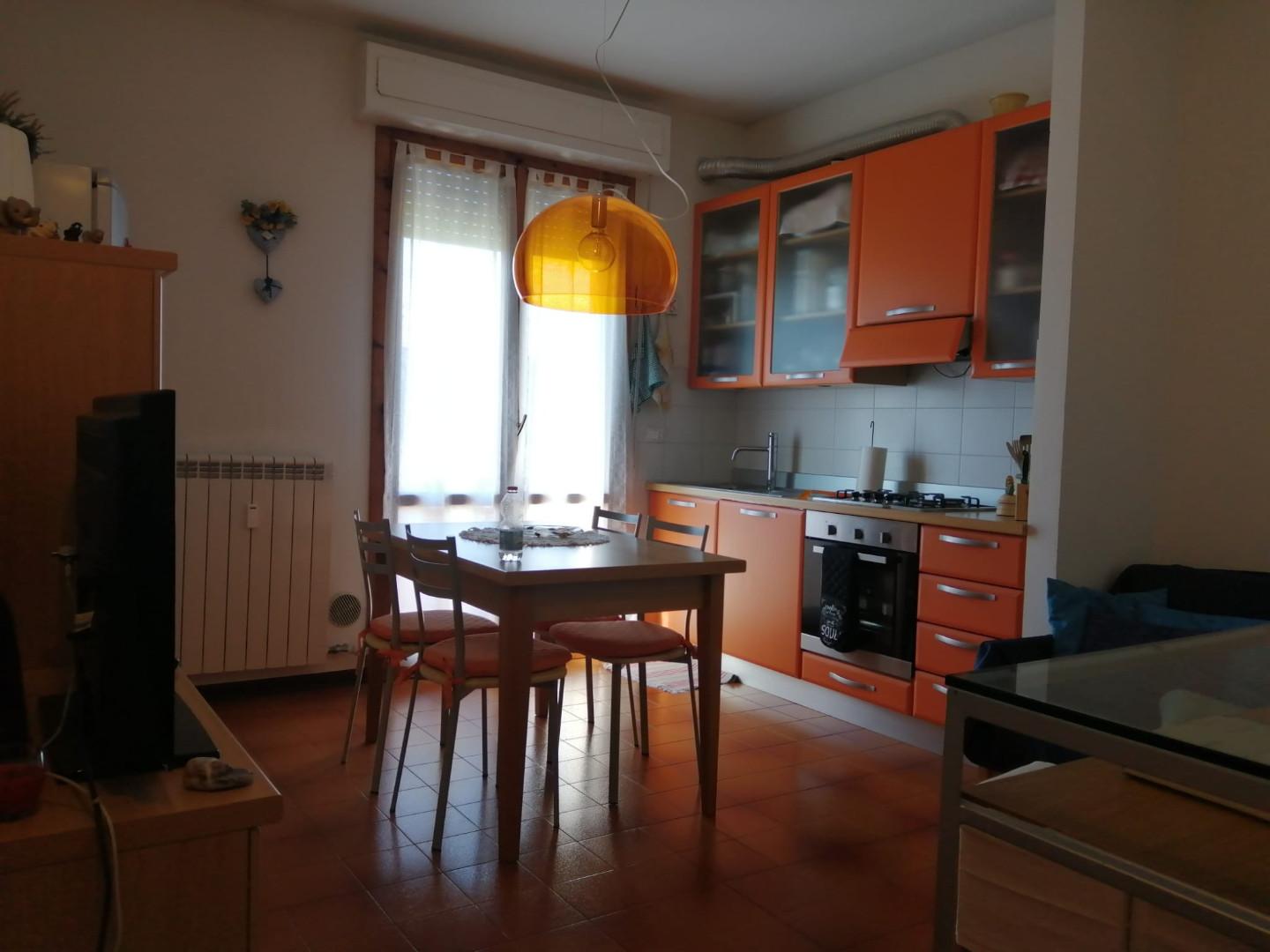 Bilocale arredato in affitto, Pisa nova