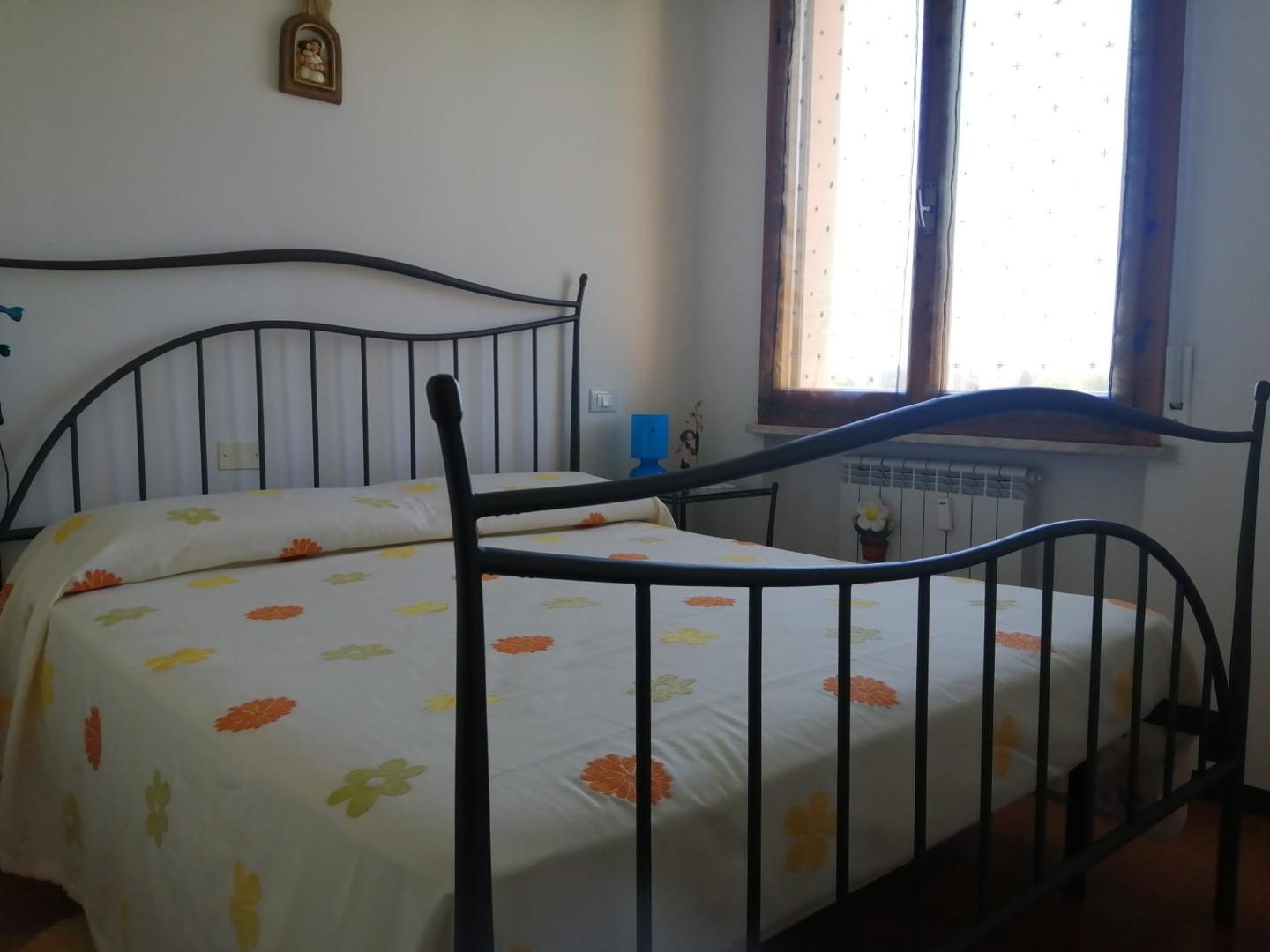 Bilocale arredato in affitto, Pisa nova