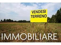 Terreno Agricolo in vendita, San Giuliano Terme arena metato