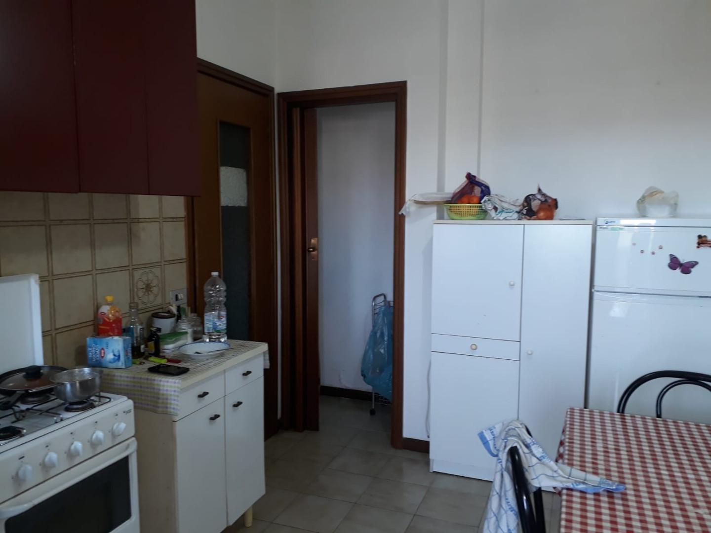 Stanza Singola in affitto, Pisa nova
