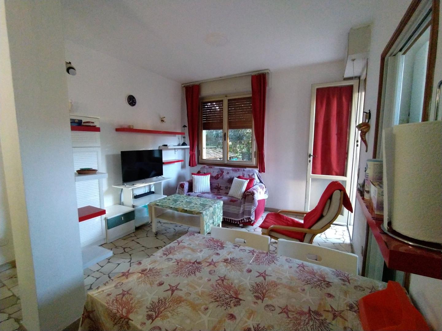 Bilocale arredato in affitto, Pisa tirrenia