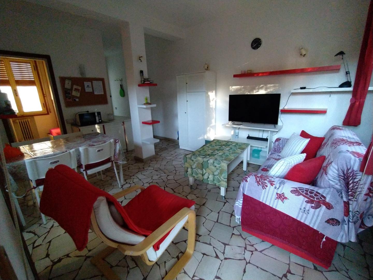 Bilocale arredato in affitto, Pisa tirrenia