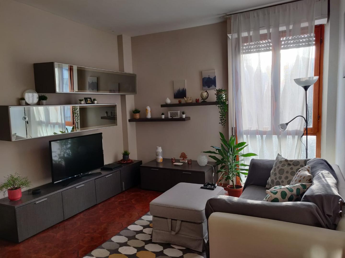 Bilocale arredato in affitto, Pisa cisanello