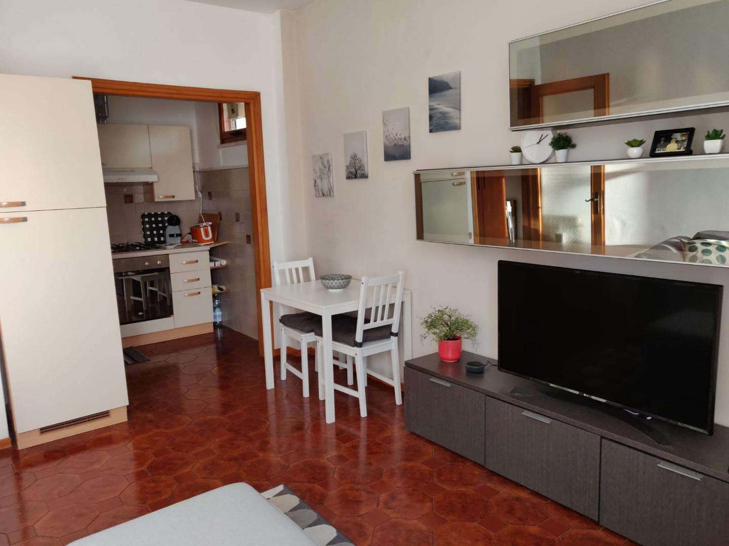 Bilocale arredato in affitto, Pisa cisanello