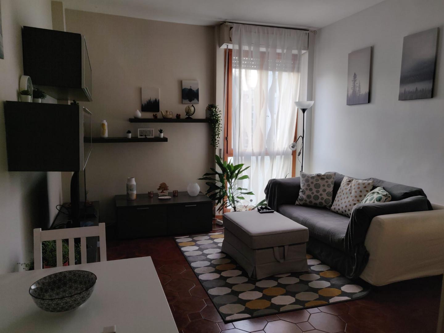 Bilocale arredato in affitto, Pisa cisanello