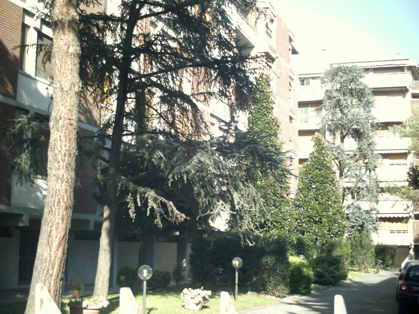 Stanza Singola con terrazzo, Pisa porta a lucca