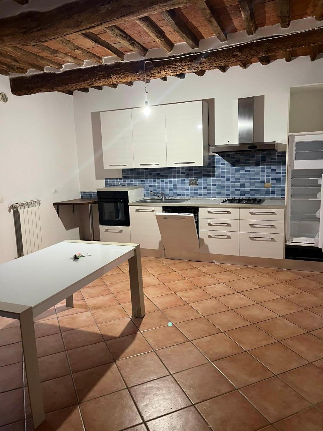 Casa indipendente arredata in affitto a Vecchiano