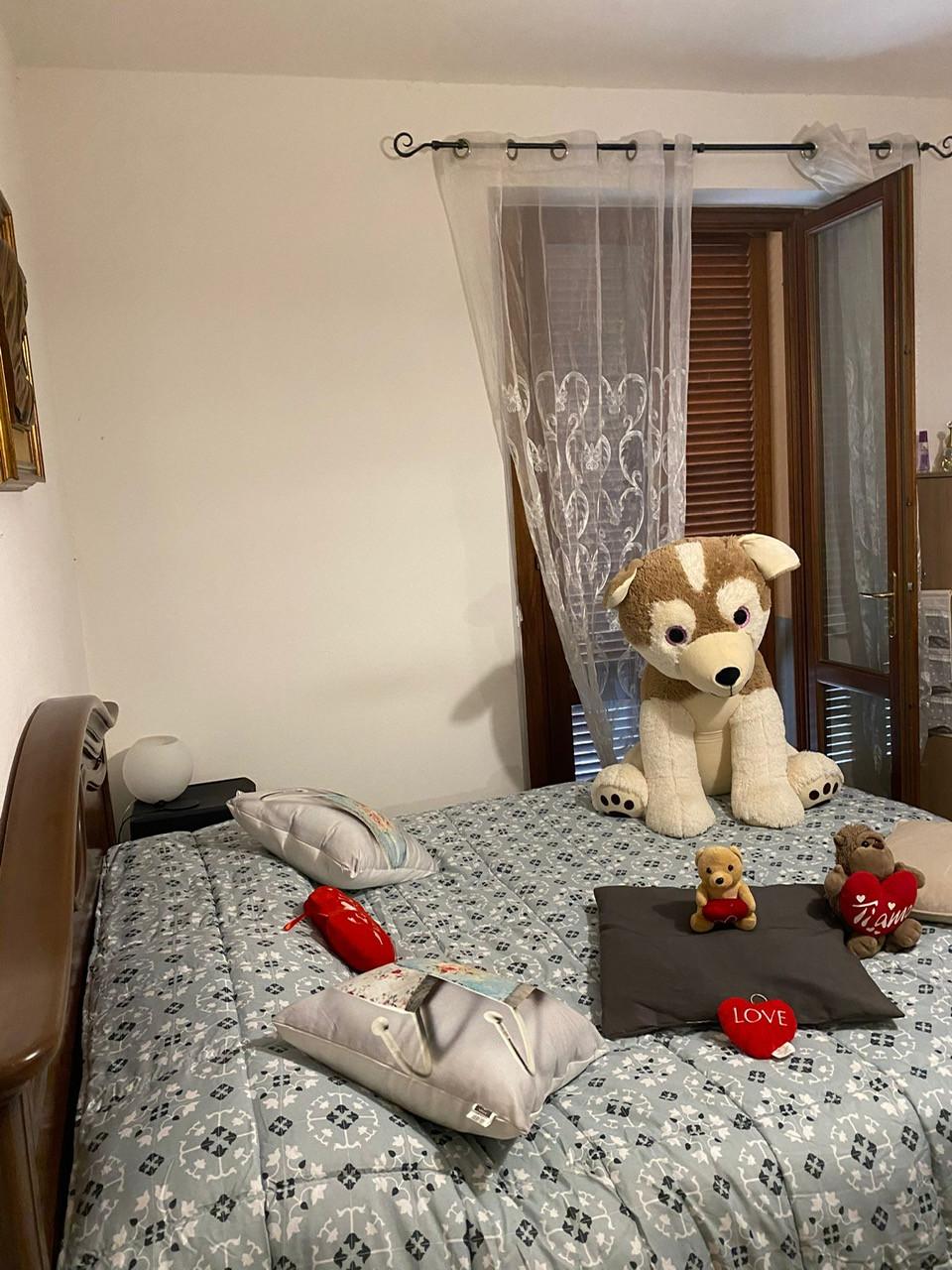 Bilocale arredato in affitto a Vecchiano