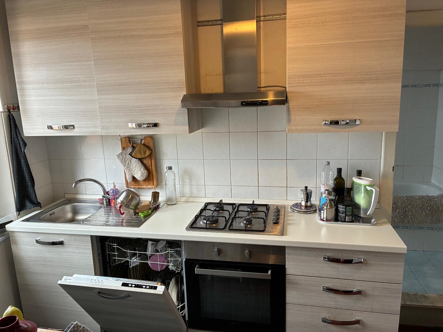 Appartamento con terrazzi, Pisa santa maria