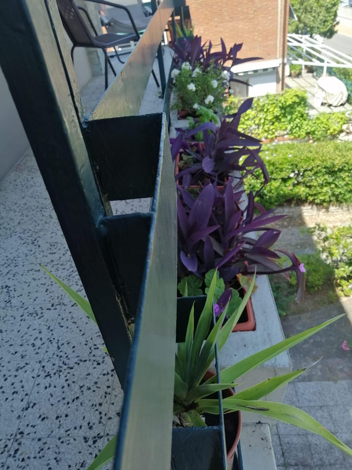 Quadrilocale arredato in affitto, Pisa tirrenia