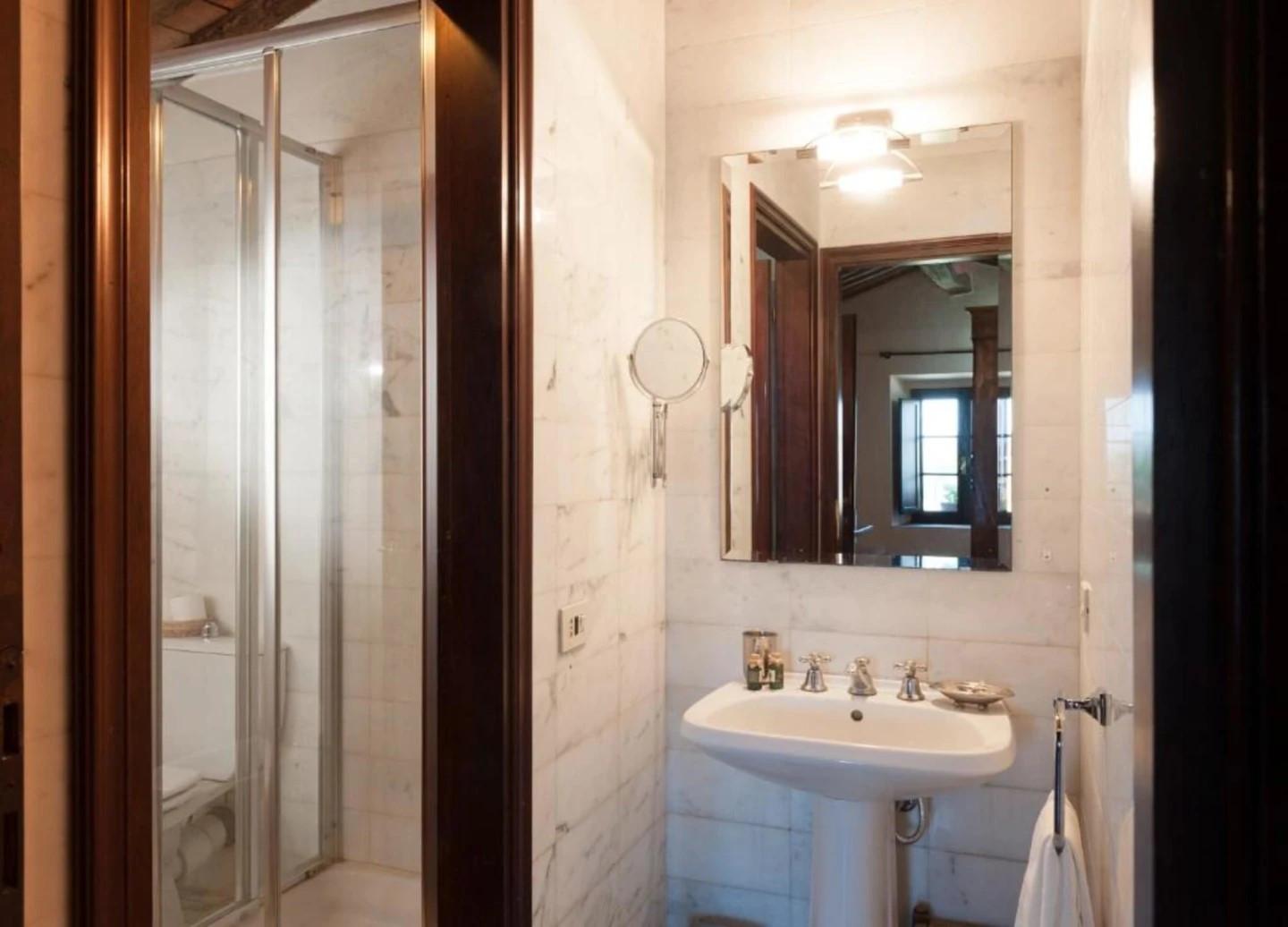 Trilocale arredato in affitto, Lucca santissima annunziata