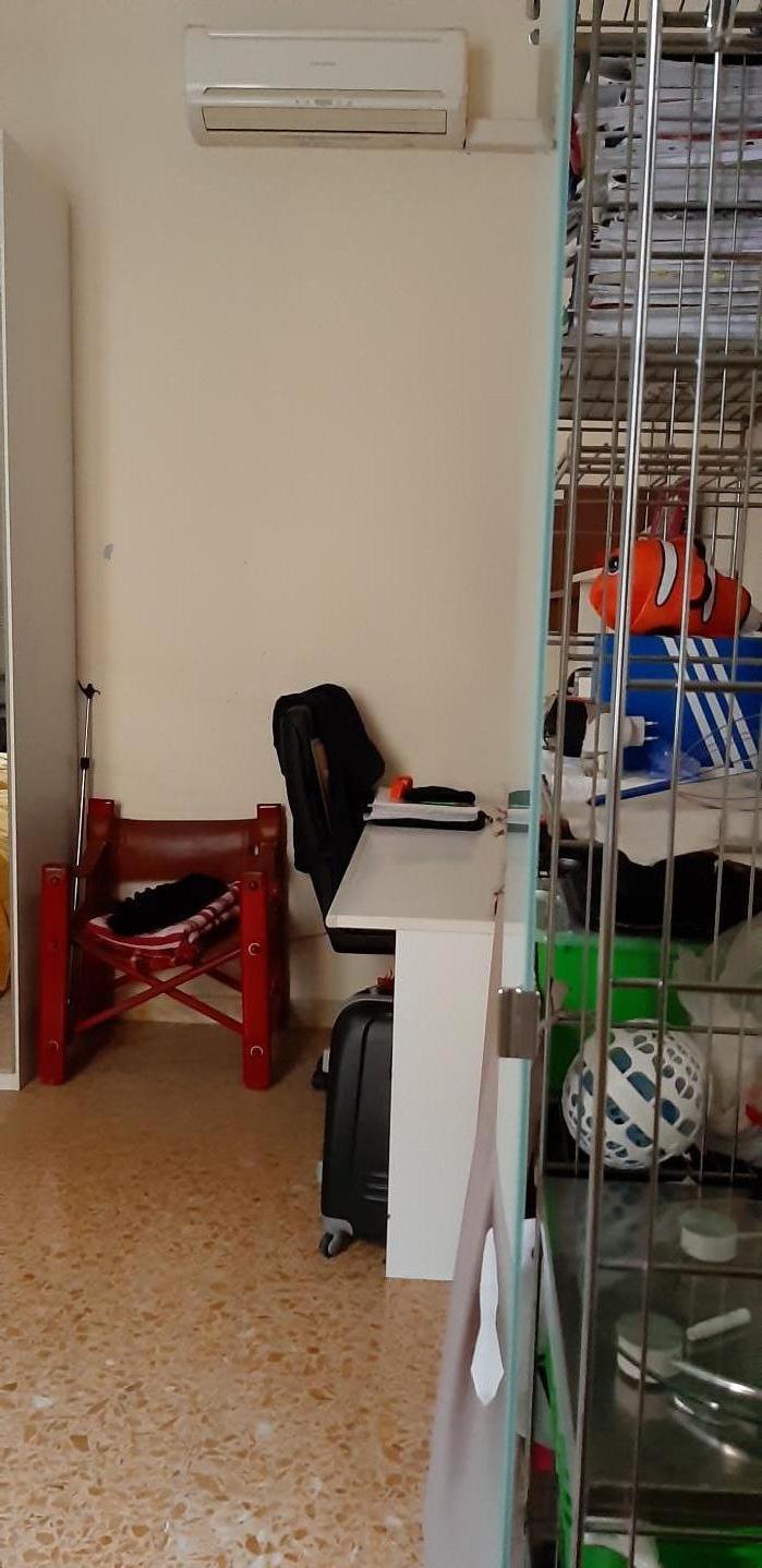 Bilocale arredato in affitto, Pisa san francesco