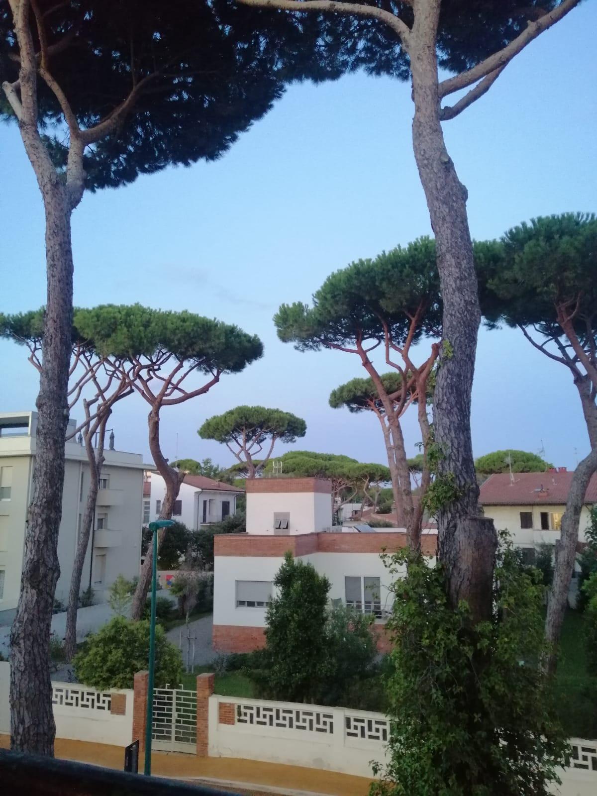 Quadrilocale arredato in affitto, Pisa tirrenia