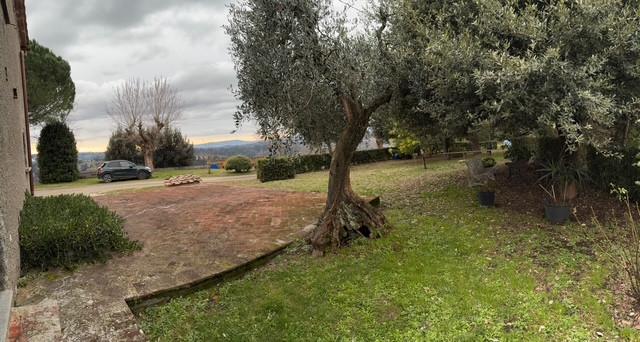 Rustico con giardino, Palaia colleoli