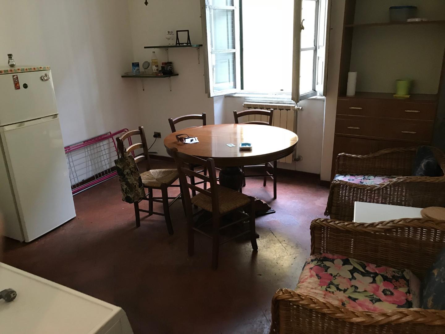 Trilocale arredato in affitto, Pisa borgo largo